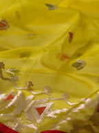 Mustard Yellow Organza Jamdani Patola Saree with Red Geometric Border