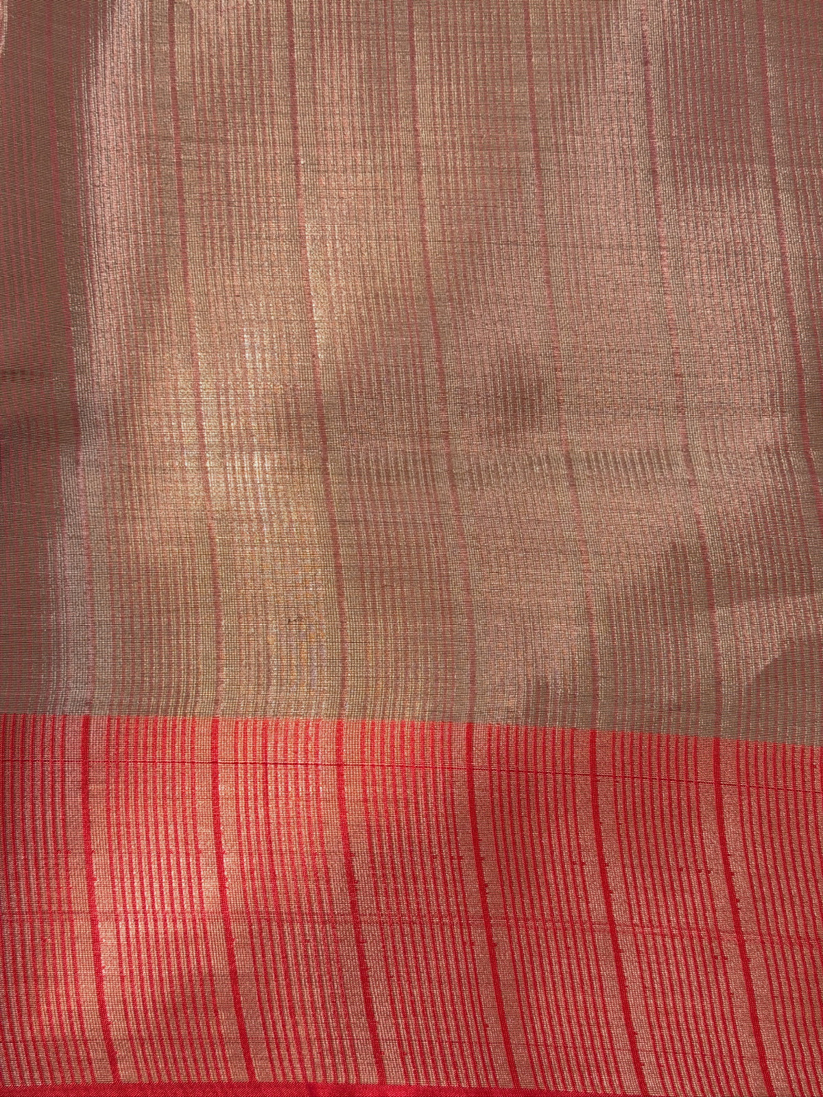 Black Organza Silk Patola Saree with Red Geometric Border